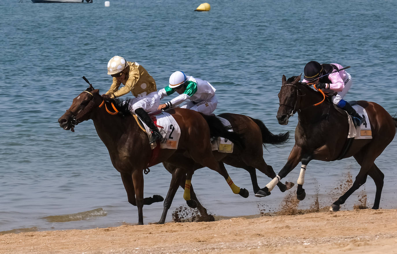 FOTOS: Arranca el segundo ciclo de las Carreras de Caballos en Sanlúcar