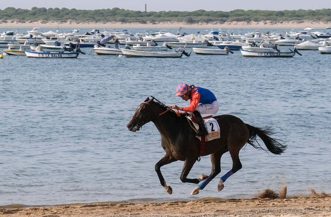 FOTOS: Arranca el segundo ciclo de las Carreras de Caballos en Sanlúcar