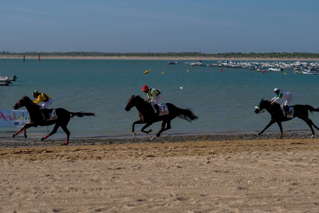 Fotos: Sanlúcar disfruta con el último galope del verano