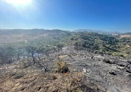 Infoca da por controlado el incendio declarado en un paraje de Puerto Serrano