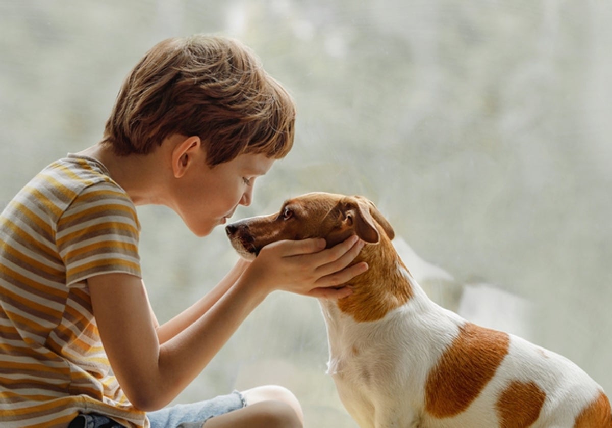 Cada vez más hogares tienen mascota