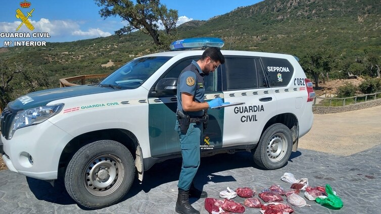 Golpe a los cazadores furtivos en la provincia de Cádiz