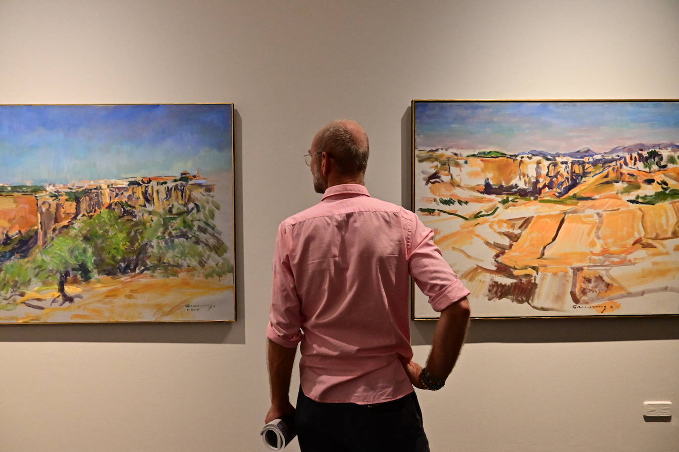 Fotos: Fundación Unicaja acoge una completa retrospectiva de Enrique Greissing