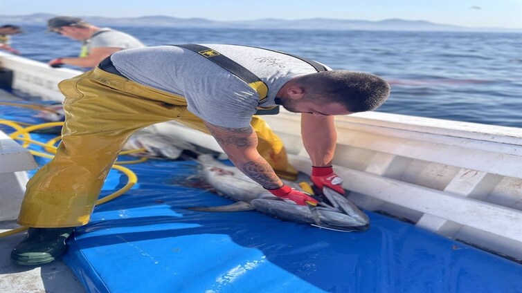 Una pequeña empresa familiar de Tarifa logra el primer sello MSC de pesca sostenible de atún rojo en España