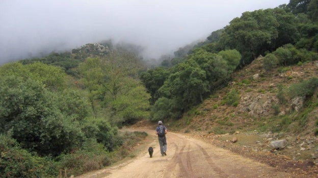 El sendero se adentra en un 'canuto'.