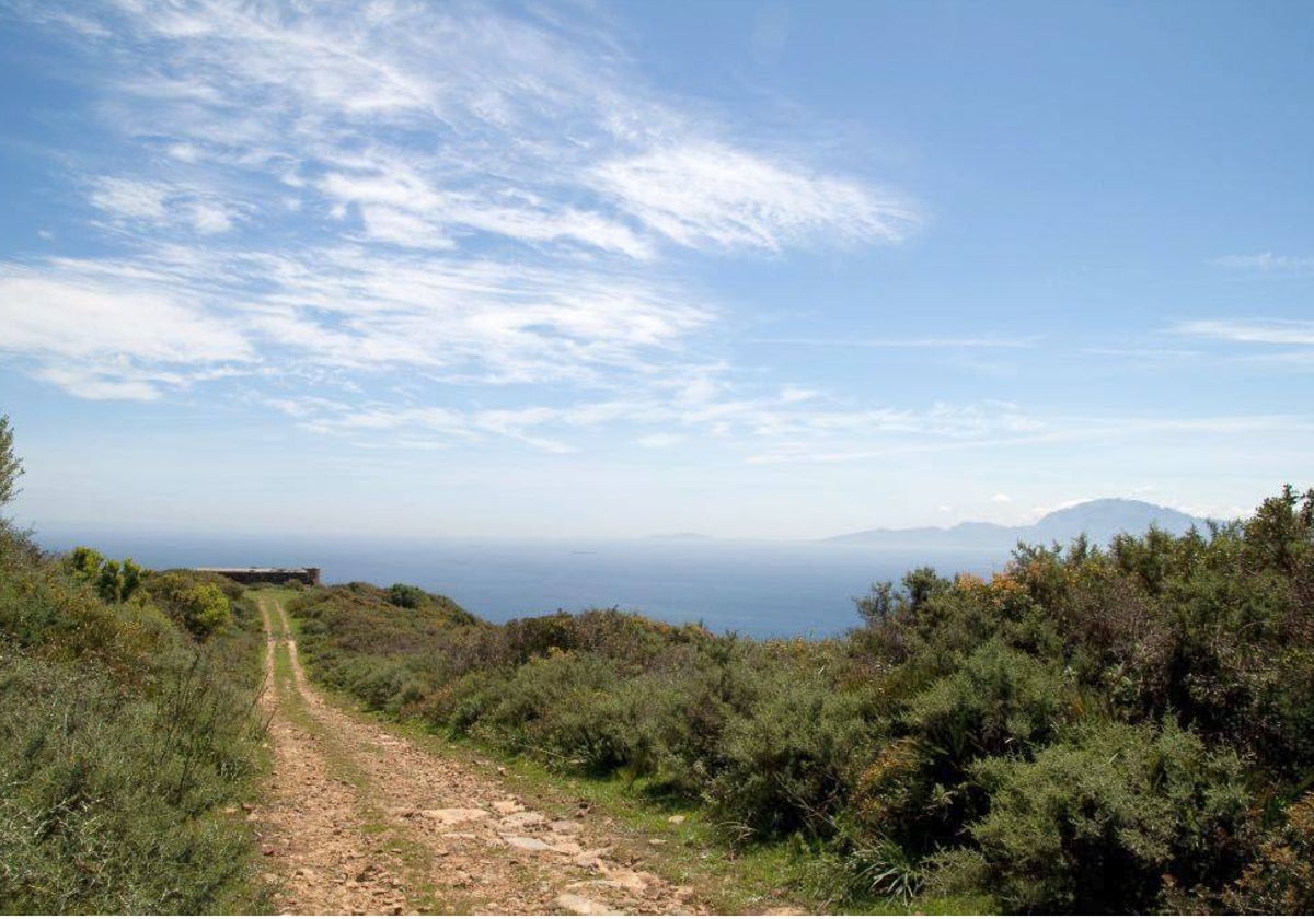 El sendero del Cerro del Tambor es uno de los que se puede realizar en Tarifa.