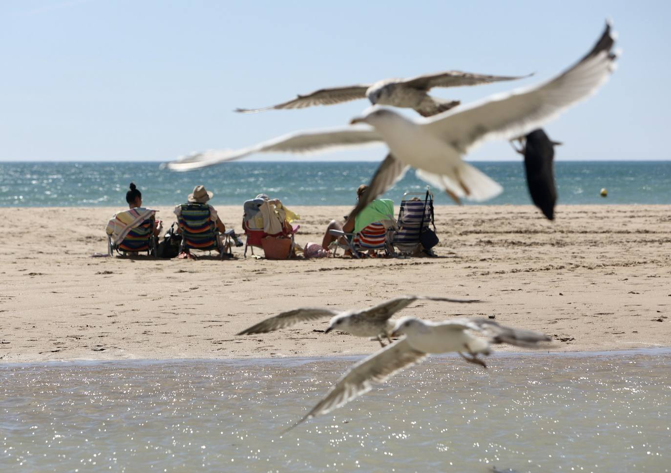 Fotos: Los gaditanos disfrutan del &#039;veroño&#039;... y con sus mascotas