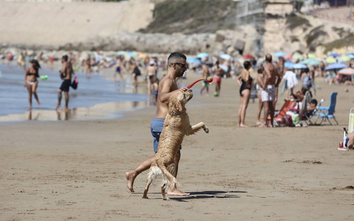 Fotos: Los gaditanos disfrutan del &#039;veroño&#039;... y con sus mascotas