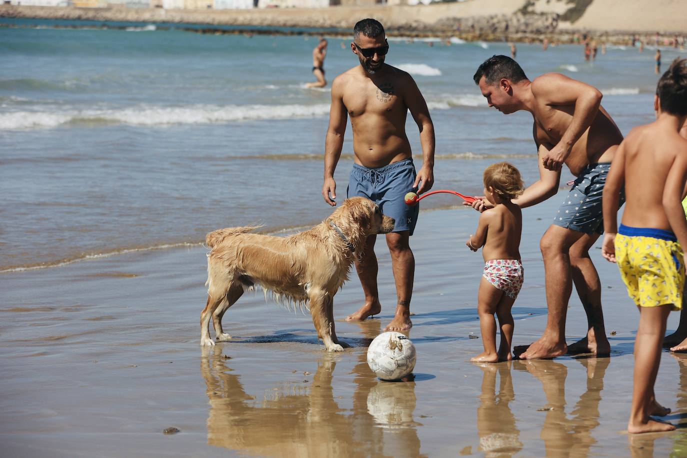 Fotos: Los gaditanos disfrutan del &#039;veroño&#039;... y con sus mascotas