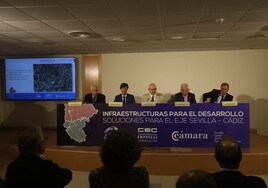 Los empresarios de Cádiz y Sevilla alertan del peligro de la autopista y exigen una solución urgente