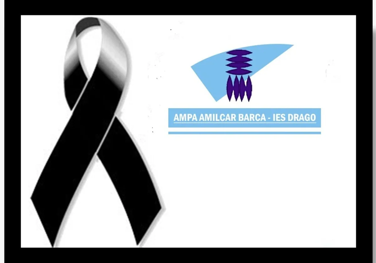 El Ampa del IES Drago de Cádiz rechaza la difusión por redes de fotos de las víctimas