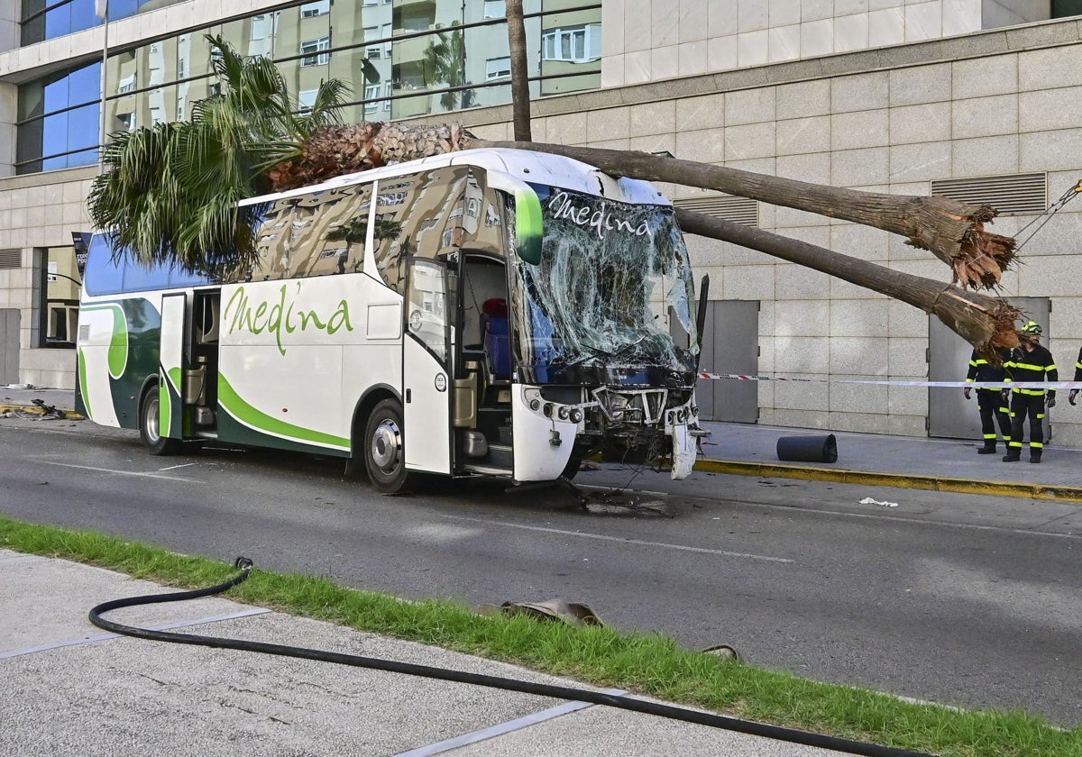 Imagen del autobús siniestrado