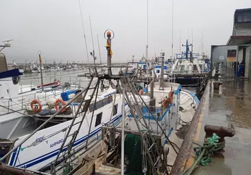 La flota pesquera de Cádiz se queda amarrada a puerto por el fuerte temporal de viento en la provincia