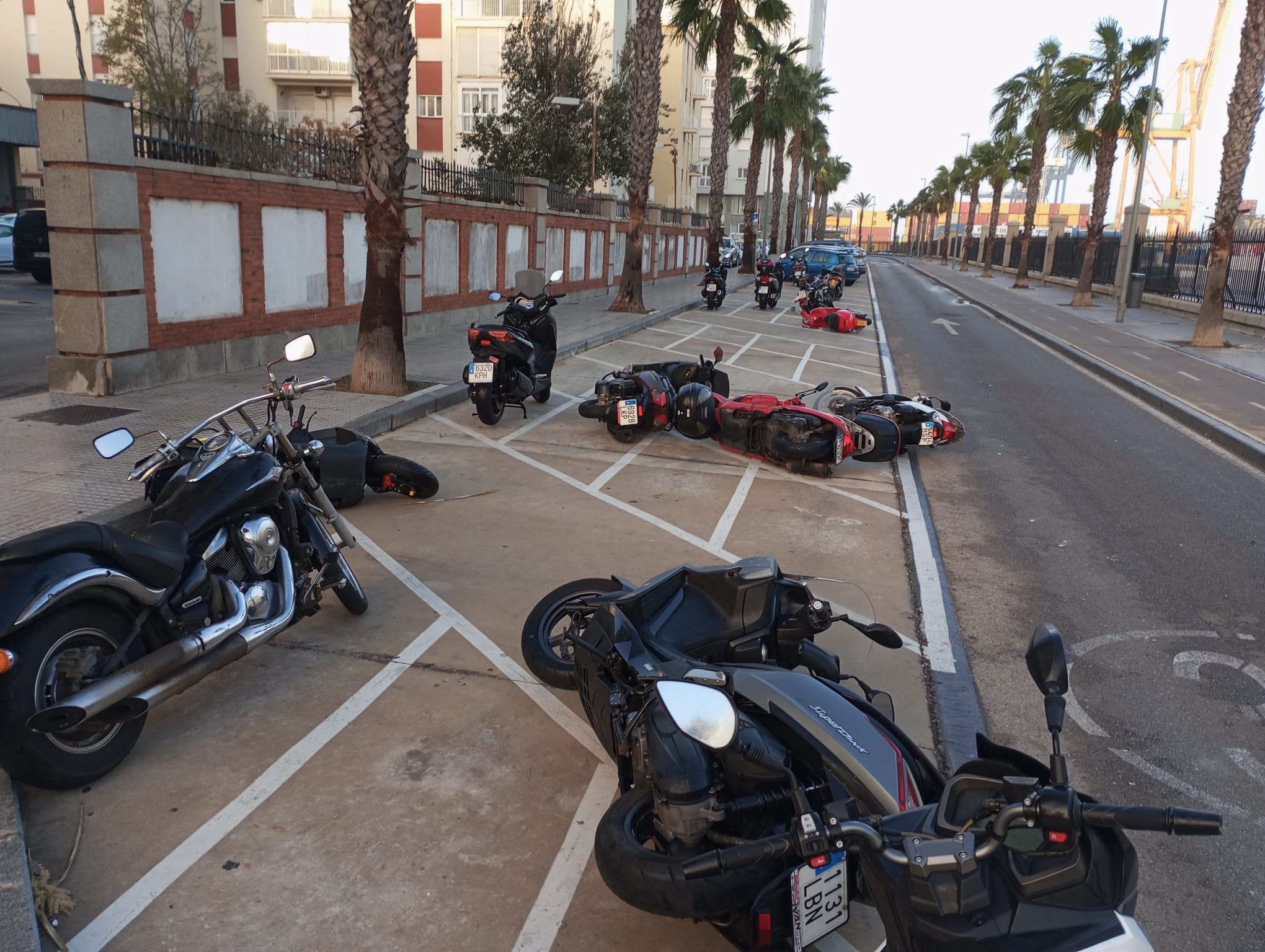 Fotos: Los efectos del paso de la borrasca Bernard en Cádiz