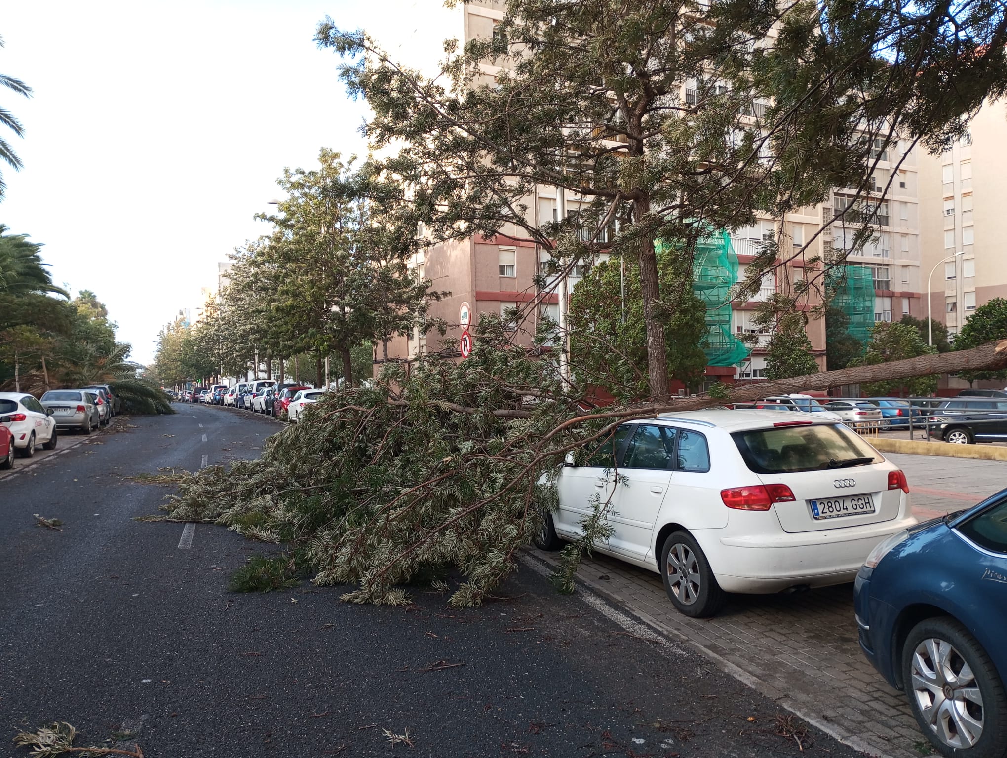 Fotos: Los efectos del paso de la borrasca Bernard en Cádiz