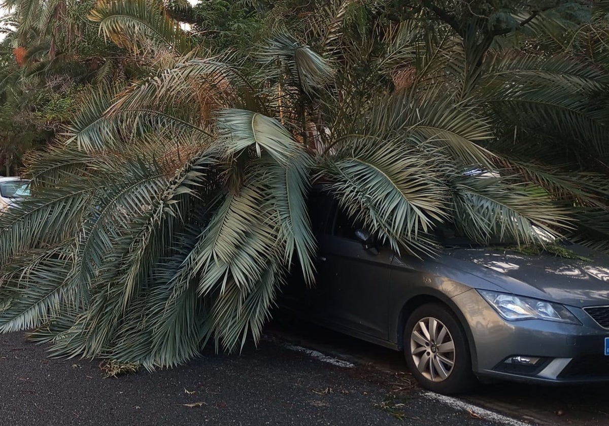 Imagen de uno de los múltiples coche que han sufrido con la virulencia del temporal.