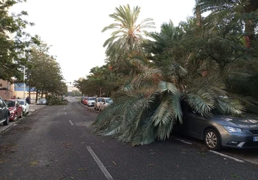 El furioso temporal causa numerosos destrozos en Cádiz capital