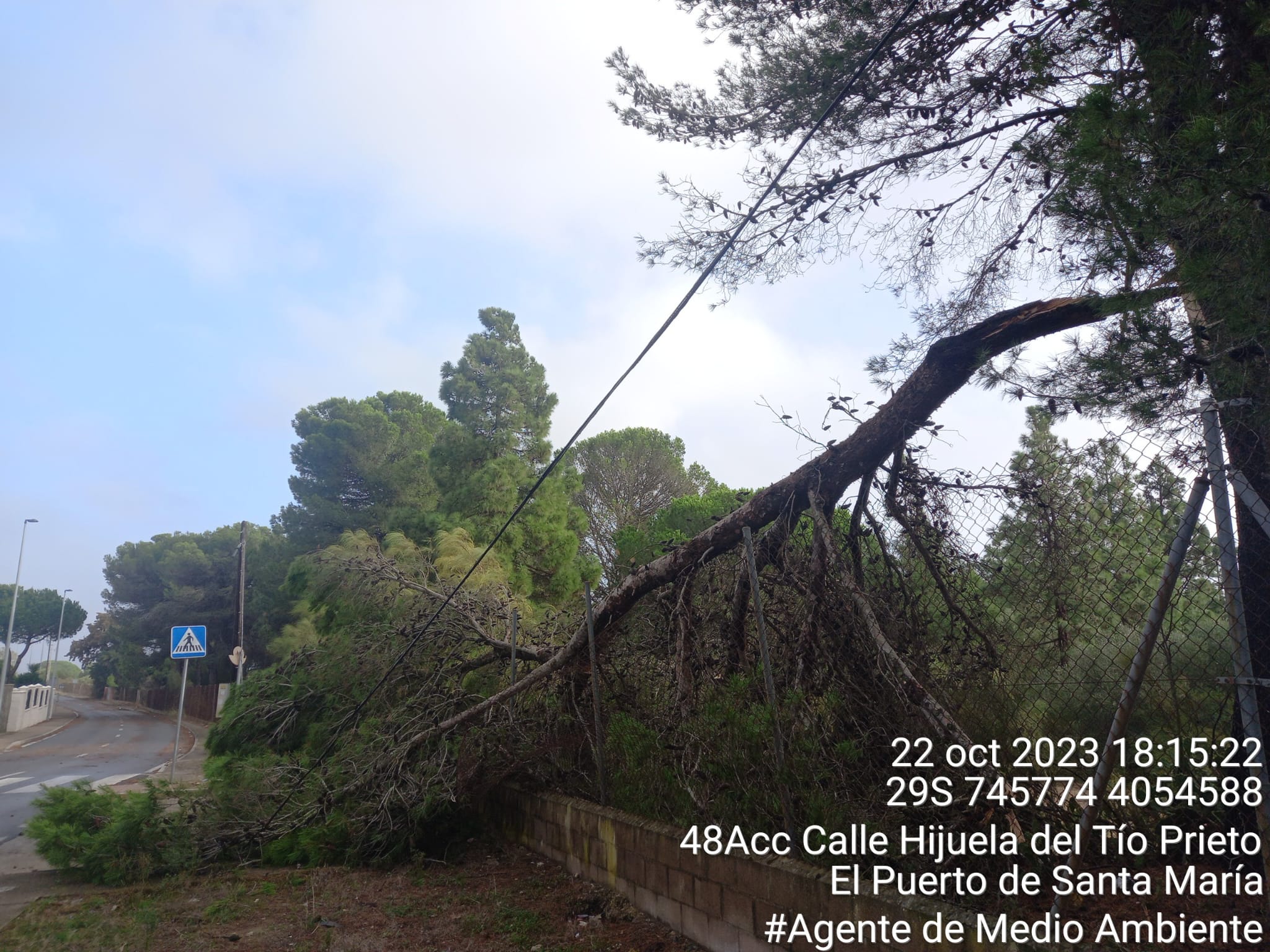 Fotos: Los efectos del paso de la borrasca Bernard en Cádiz