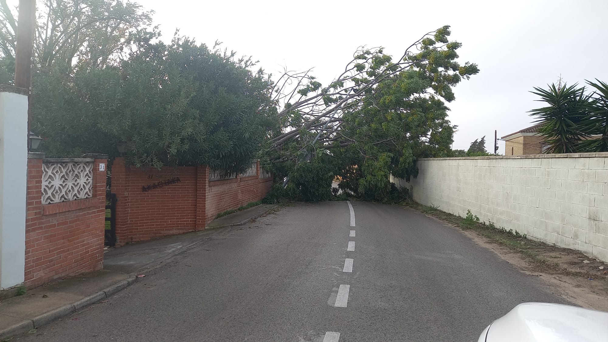 Fotos: Los efectos del paso de la borrasca Bernard en Cádiz