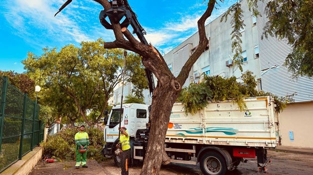 Incidencias en El Puerto: el temporal de viento se ceba con algunas de las embarcaciones de Puerto Sherry