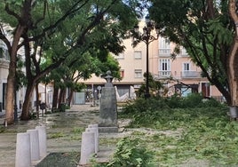 Así quedó la plaza del Mentidero tras la borrasca Bernard y después de la limpieza