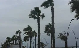 Las ciudades de Cádiz donde las rachas de viento han superado los 100 km/h: ¿cuáles son?