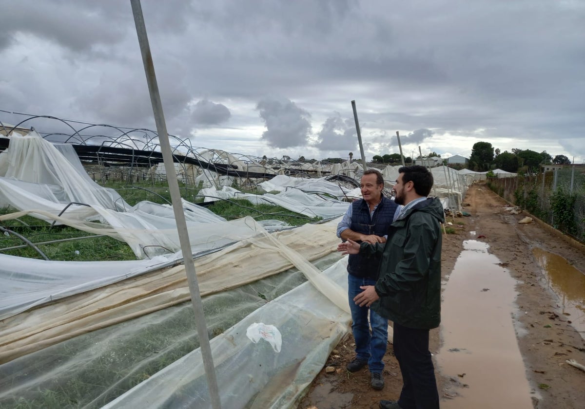 El delegado de Agricultura visita cultivos afectados por la tormenta en Chipiona y Sanlúcar.