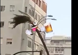 Vídeo: las redes sacan punta a la borrasca Bernard y hasta hay cuplé para la palmera caída en la Avenida de Cádiz