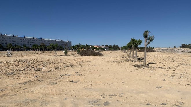 Estado actual de La Magdalena en San Fernando