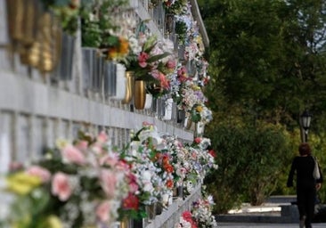 La flor cortada gaditana pide ayuda ahogada por la sequía y los temporales