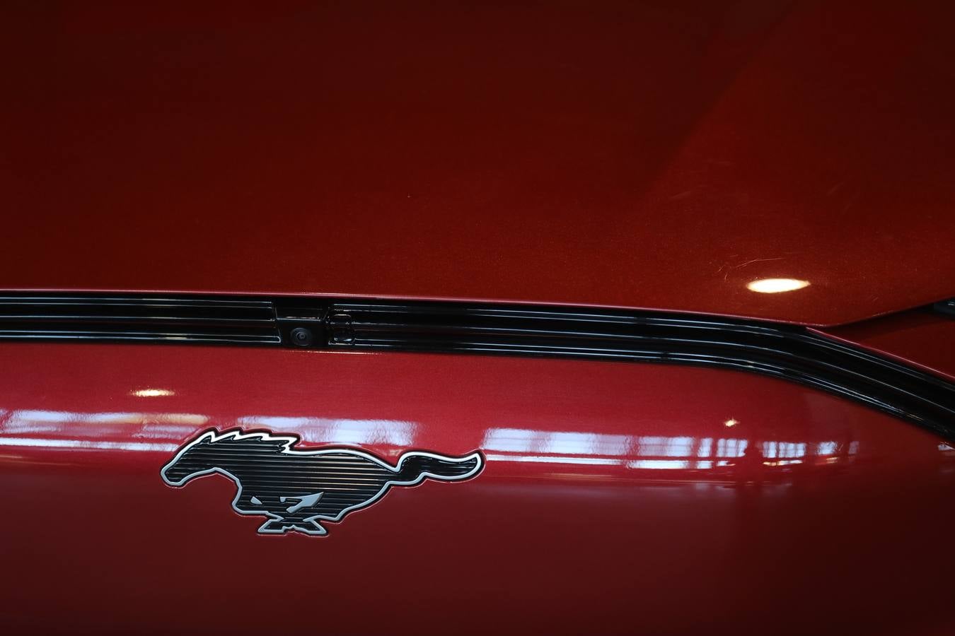 Más de 800 vehículos se exponen en Ifeca en Motosur