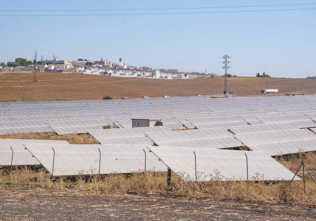 Placas solares instaladas a las afueras de Villamartín.