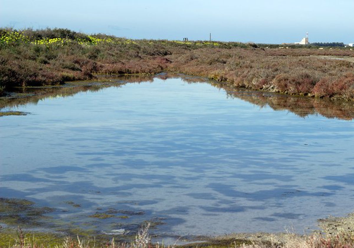 Parque Natural Bahía de Cádiz