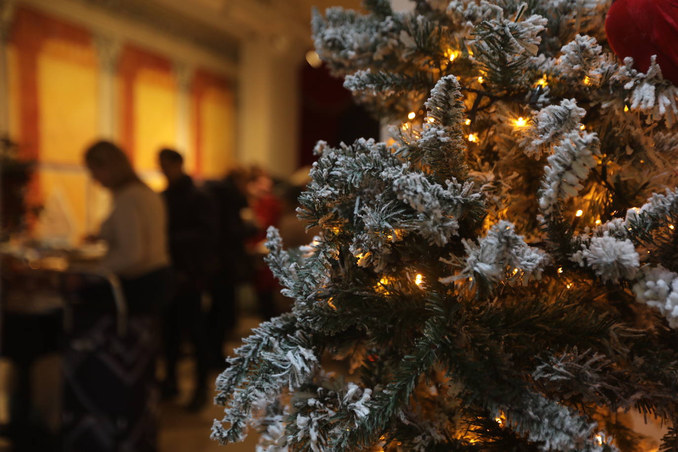 Fotos: Puente en Cádiz hacia la Navidad