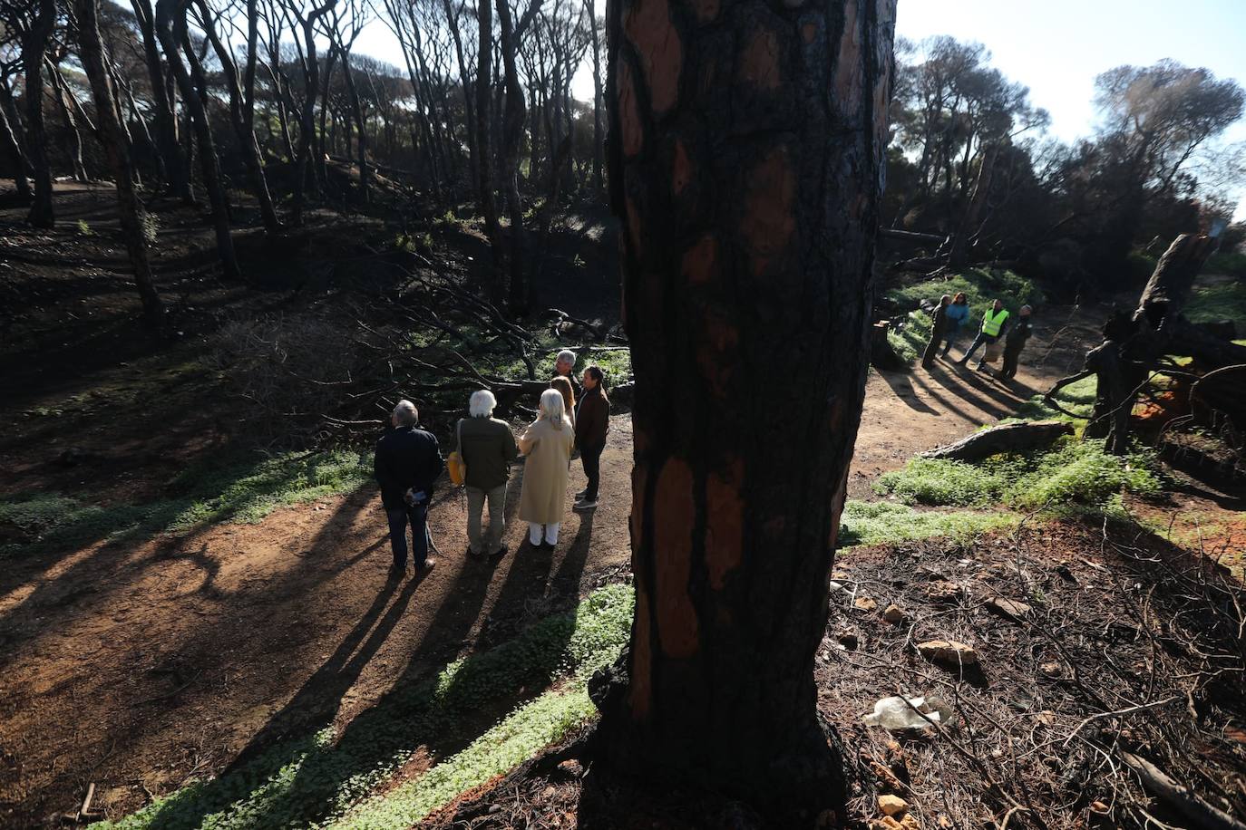 Fotos: Así está Las Canteras, cuatro meses después del fatal incendio del pasado verano