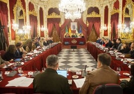 La sanidad pública andaluza centra el debate del Pleno de Diputación