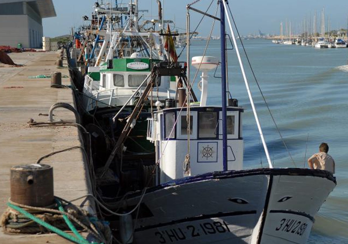 Casi dos millones de euros en ayudas para la paralización de la pesca de arrastre en el Golfo de Cádiz