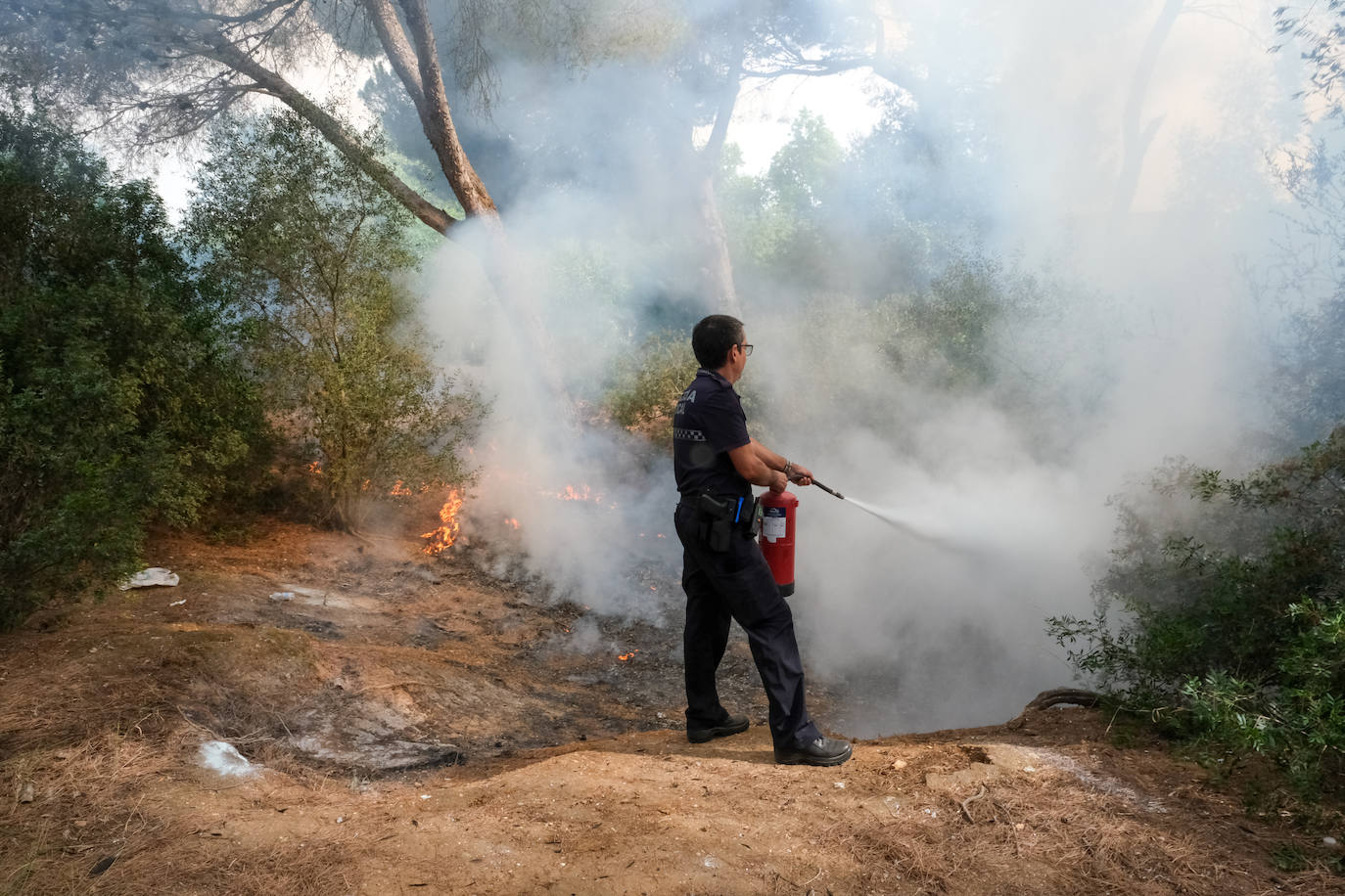 7 de agosto. El parque de Las Canteras de Puerto Real ardía en llamas y se quemaban hasta 80 hectáreas. Aunque por el momento no se hayan esclarecido las causas, la hipótesis que se mantiene es que fue intencionado.