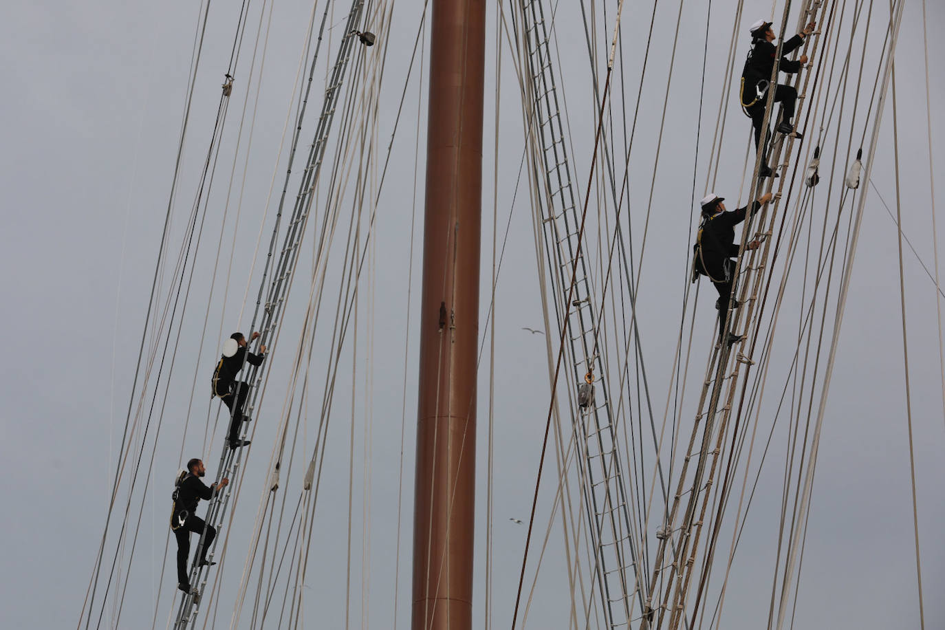 Fotos: Adiós al buque Juan Sebastián de Elcano, el embajador de Cádiz inicia un nuevo crucero de instrucción