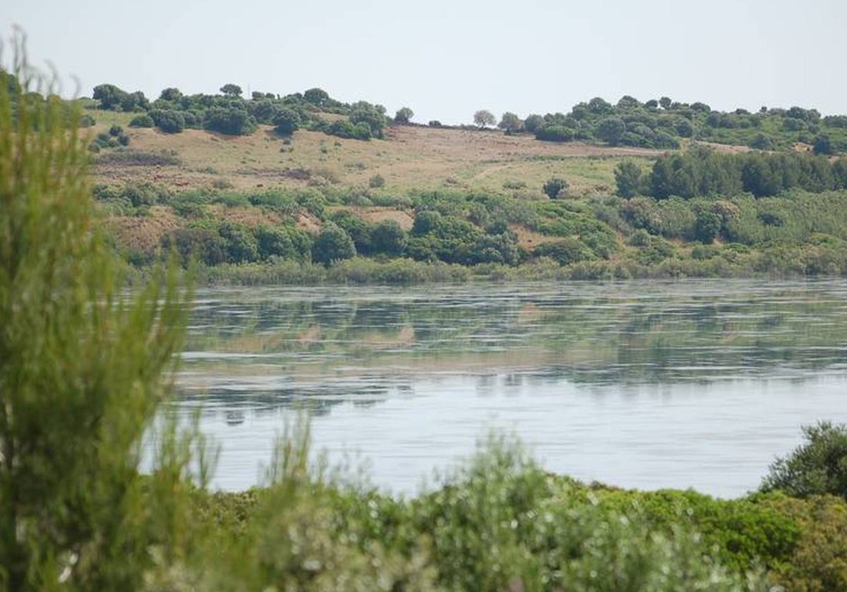 La mayor laguna de la provincia de Cádiz está en Jerez