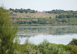 La mayor laguna de la provincia de Cádiz está en Jerez