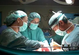 Cádiz, a la cabeza del trasplante de riñón en un año histórico