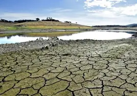 El equipo de Gobierno solicitará en el Pleno la construcción de desaladoras con motivo de la sequía