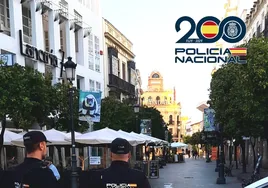 Arrestados tras asaltar de forma violenta una casa habitada en Jerez