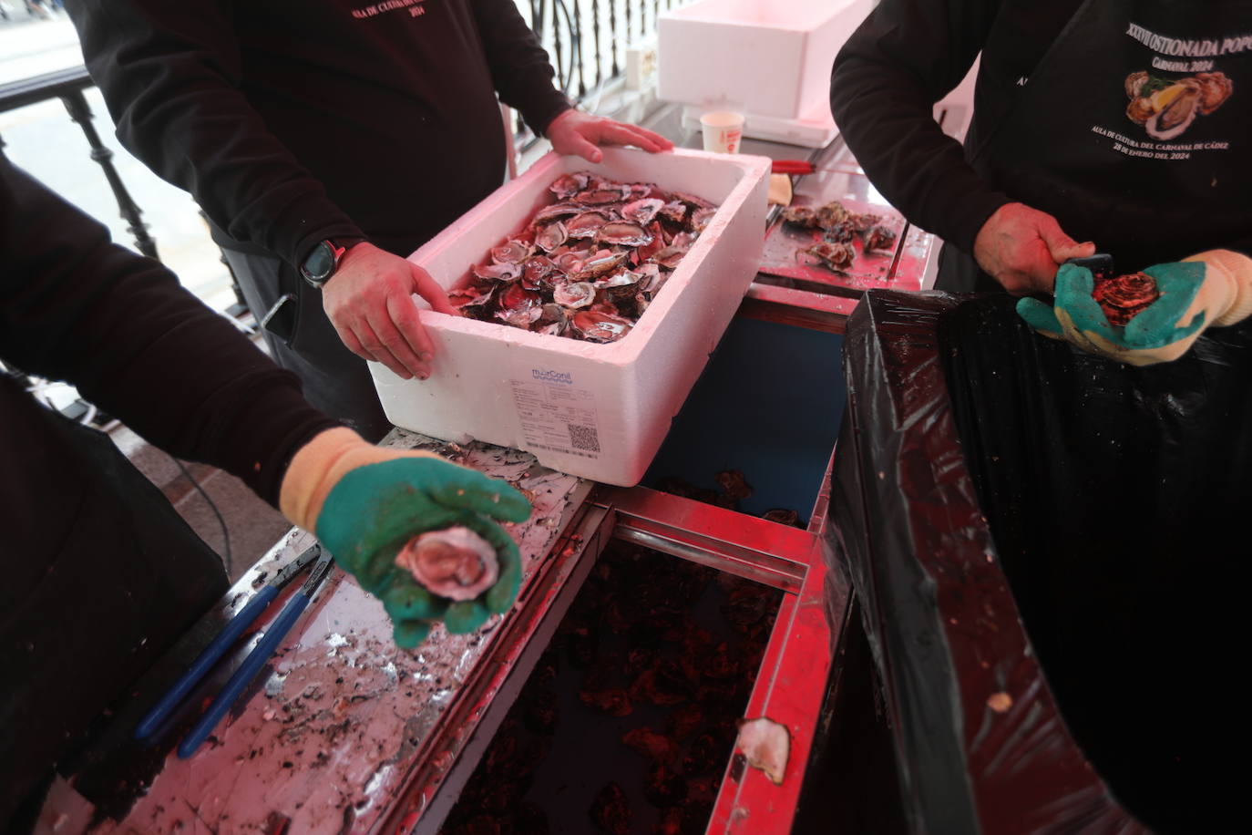 Carnaval de Cádiz 2024: Ostiones para abrir boca