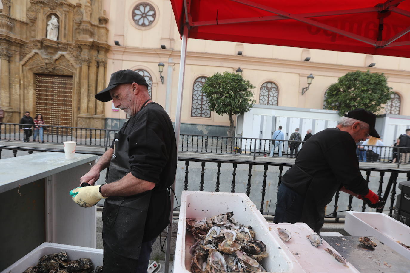 Carnaval de Cádiz 2024: Ostiones para abrir boca