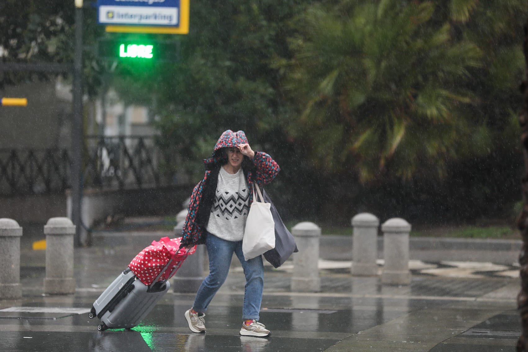 Fotos: La borrasca Karlotta azota con fuerza a Cádiz