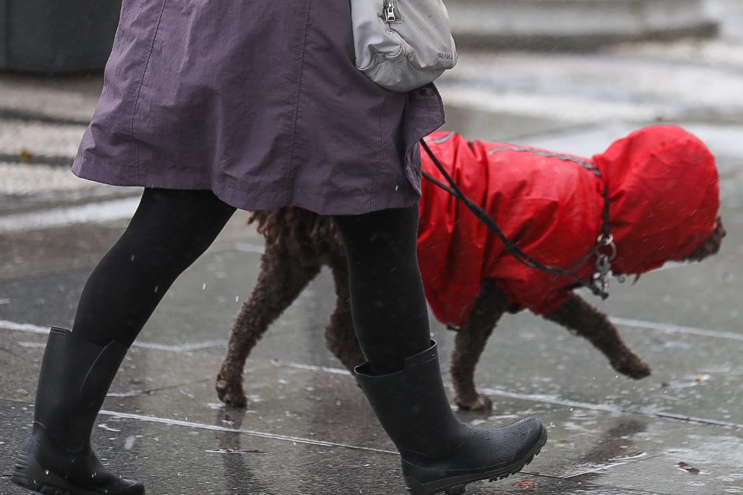 Fotos: La borrasca Karlotta azota con fuerza a Cádiz
