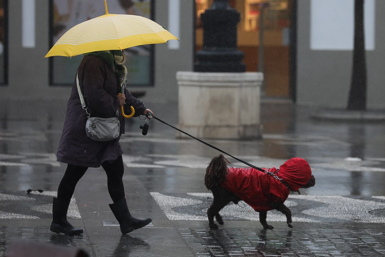 Fotos: La borrasca Karlotta azota con fuerza a Cádiz
