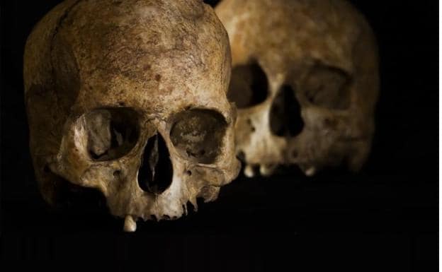 Imagen de los cráneos del yacimiento Locus 2 en la cueva de La Dehesilla
